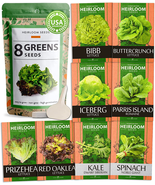 Lettuce &amp; Salad Greens Seed Vault - 1200+ Non-Gmo Vegetable Seeds for Ou... - €9,88 EUR
