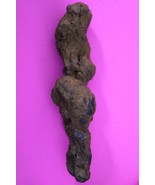 Giant Lizard Poop 5 Million Years Old Coprolite Genuine Fossil Dino Girl... - $47.85 CAD