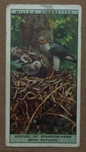 Vintage Wills Cigarette Cards Life In The Tree Tops No # 12 Number x1 b4 - £1.34 GBP