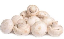 White Mushroon Seeds 200+ - $9.50