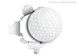 Golf Ball Funny Joke Sports Hole In Wall Art Car Truck Bumper Sticker 3.5&quot; - £3.12 GBP