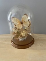 Vintage Jungle Queen Butterfly Terrarium Artificial Floral Cloche Dome 9&quot; - £23.75 GBP