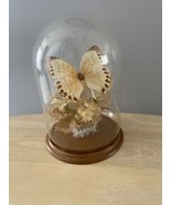 Vintage Jungle Queen Butterfly Terrarium Artificial Floral Cloche Dome 9&quot; - £23.26 GBP