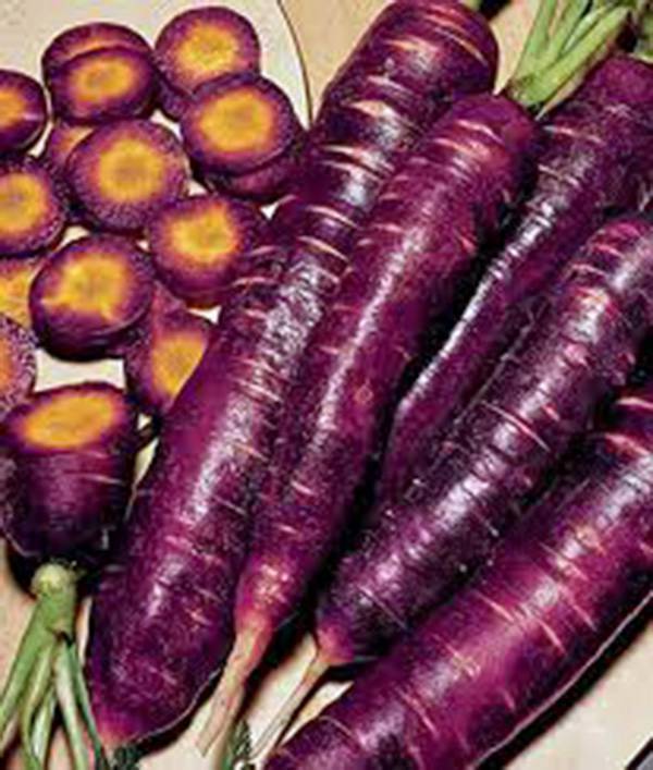 CARROT, PURPLE HAZE, HYBRID, ORGANIC 20+ SEEDS, UNUSUAL TASTY & SWEET, NON GMO