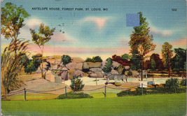 Antelope House Forest Park St. Louis MO Postcard PC516 - £3.90 GBP
