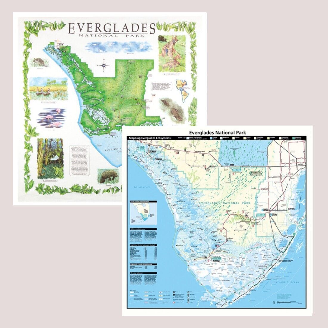 Primary image for Florida National Park Bandanna 2-Pack Bundle Everglades Map Nature Facts Info