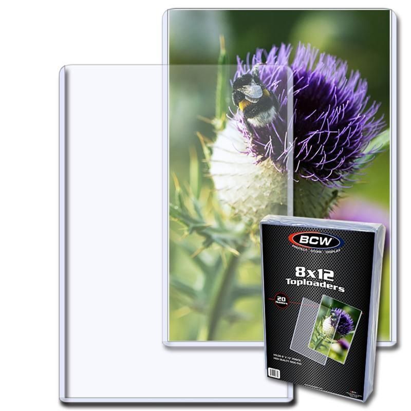 Pack of 20 BCW 8X12 Photo Topload Holder (1-TLCH-8X12) - $32.00