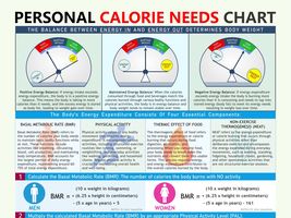 Personal Calorie Needs Chart, Weight Loss Planner, Calculate your calorie needs, - £3.21 GBP