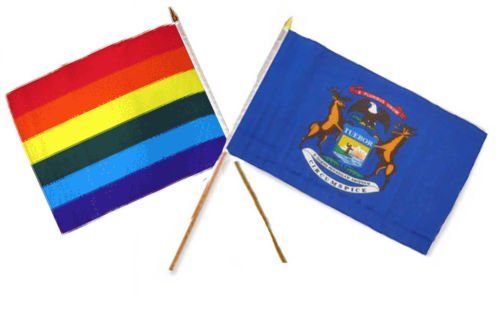 Primary image for AES Moon 12''x18'' Wholesale Combo Rainbow Gay Pride Michigan State Stick Flag -