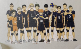 Haikyu!! Roomscapes Repositionable Poster 24&quot;x18&quot; Die-Cut Peel Stick NEW - £7.87 GBP