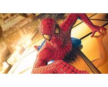 2002 Spiderman Movie Poster 11X17 Peter Parker McGuire Green Goblin Marvel  - £9.28 GBP