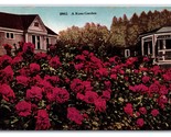 Bungalow E Rosa Giardino IN California Ca Unp DB Cartolina D21 - £2.38 GBP