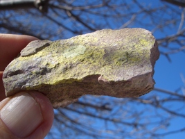 Jtl: Jurassic Todilto Limestone Uranium 36,000. Cpm 3.0 Oz. $24.00 +$9.00 s/h - £19.18 GBP