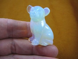 (Y-DOG-CH-560) white albino CHIHUAHUA Mexican baby dog figurine gemstone... - $14.01