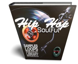 Hip Hop Soulful Guru - Large Essential 24bitWAVE Samples/Loop Library - £7.95 GBP