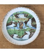 Vtg Antique Winona 5 Falls Bushkill PA Porcelain Collector Souvenir Plat... - £31.62 GBP