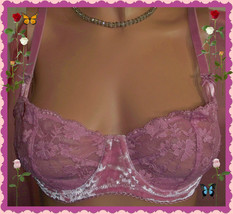 36C Pink Velvet Lace Wicked Dream Angel Uplift Push Up Wopad Victorias Secret Bra - £31.96 GBP