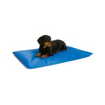 K&amp;H Cool Bed III Cooling Dog Bed, Small, 17-Inches by 24-Inches, Blue  - $55.00