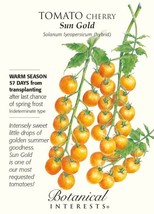 Sun Gold Cherry Tomato 10 Seeds Very Sweet Fresh Garden - £4.63 GBP