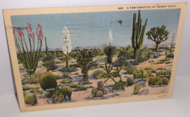 Varieties of Desert Cactus Joshua Tree Yucca Prickly Pear Vtg Postcard Military - £4.67 GBP