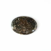 DVG Sale 32.96 Carats 100% Natural Turritella Agate Oval Cabochon Fine Quality G - £11.40 GBP