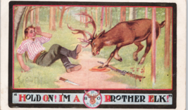 Fraternal BPO Elks Humor Postcard Man in Woods Attacked by &#39;Brother Elk&#39; c. 1909 - £11.72 GBP