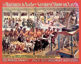 Decoration Poster.Home room art.Interior design.Barnum Circus animals.Zoo.7410 - £13.67 GBP+