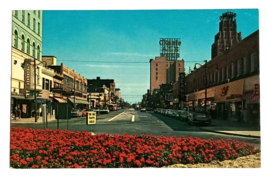 Fall Street View Old Cars OKeefe Niagara Falls NY Colourpicture Postcard c1960s - £7.90 GBP