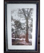 Antique 1926 Colored Photograph Artist Signed Framed Trees Landscape Art... - $84.66 CAD