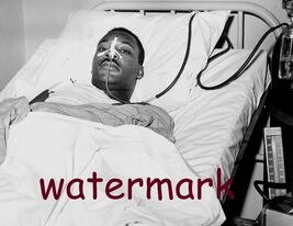 SEP 20,1958 DR MARTIN LUTHER KING JR IN HOSPITAL AFTER BEING STABBED RAR... - $8.70