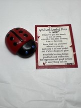 2011 GANZ Good Luck Lovebug Ladybug Painted Stone Charm Magnet Adorable ... - $9.00