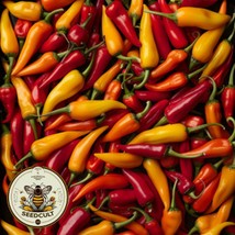 Best Seeds New Tabasco Pepper Seeds Hot Spicy Pepper Capsicum Annuum - £10.07 GBP