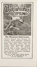 1948 Print Ad Weeki-Wachee Underwater Mermaids Gulf Coast Florida - £7.77 GBP