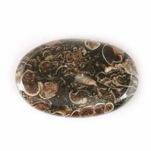 DVG Sale 37.81 Carats 100% Natural Turritella Agate Oval Cabochon Fine Quality G - £11.41 GBP