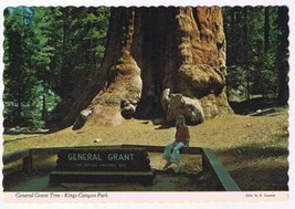 California Postcard King&#39;s Canyon National Park General Grant Tree - $2.96