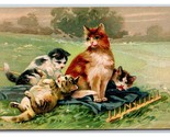 Adorable Cat and Kittens Playing on Blanket 1910 DB Postcard Q19 - $7.87