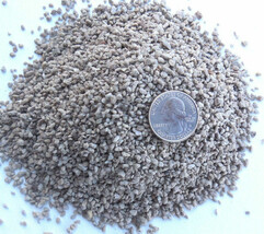 5 QTS PROPAGATION GRADE PUMICE -1/8-1/64&quot;- SEED STARTING- CUTTINGS- POTT... - $7.99