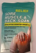 Relief Sore Muscle and Back Soak Eucalyptus Scented EPSOM Salt Bath Salt... - £3.18 GBP