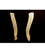 Venus flower basket glass sponge nature natural curios curiosities ocean... - $650.85 MXN