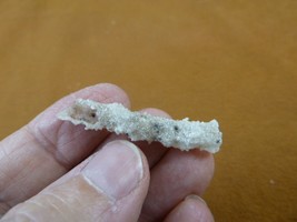 (r365-49) 1-3/4&quot; Fulgurite lightning strike beach sand glass Georgia fulgurites - £12.54 GBP