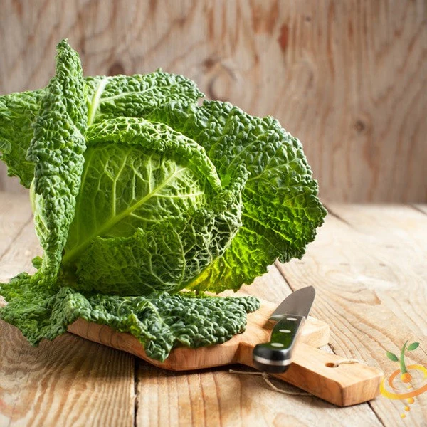 300 Seeds Cabbage Savoy Perfection Seeds Vegetable Flower Home Garden - £11.73 GBP