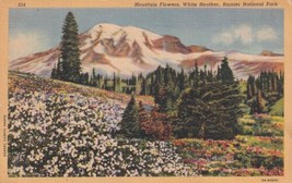 Mountain Flowers White Heather Mt Rainier National Park Washington Postcard D51 - £2.23 GBP