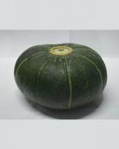 The Standard Buttercup Squash Vegetables Organic, 10 Seeds - £8.04 GBP