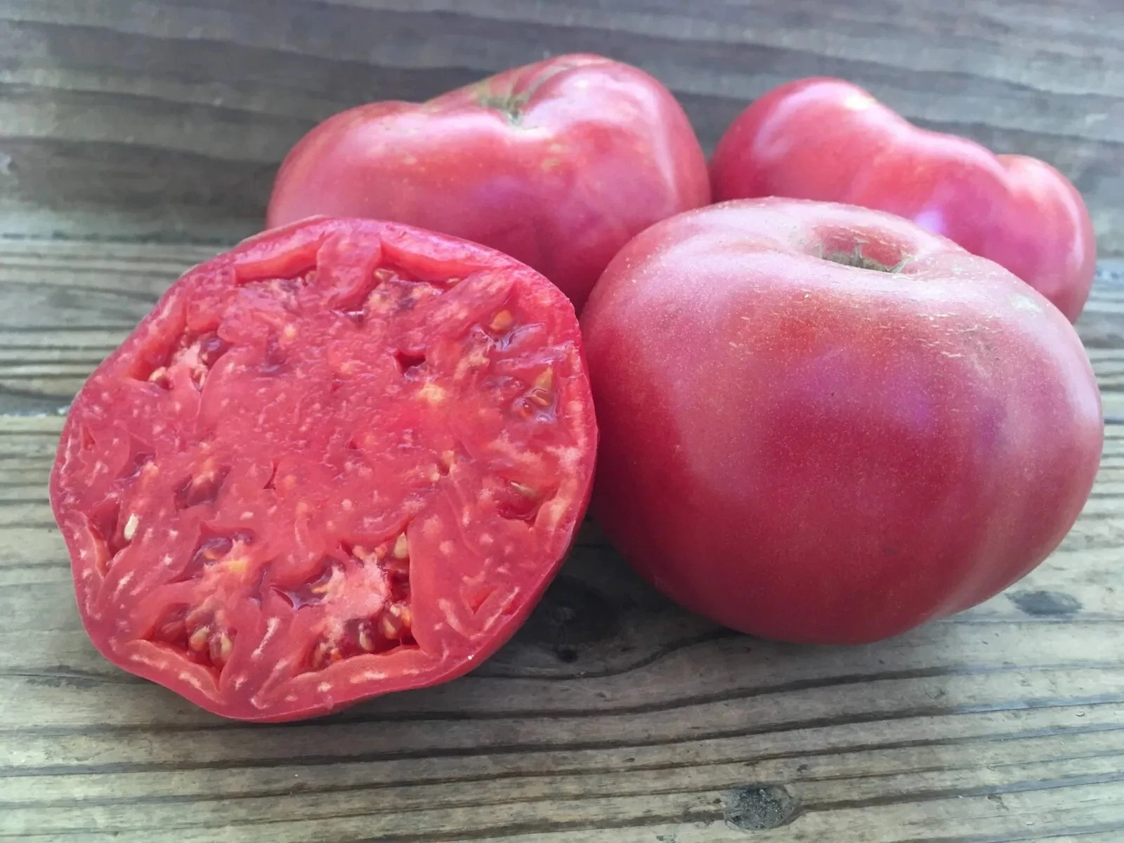 120+ MORTGAGE LIFTER TOMATO SEEDS -- LARGE- - HEIRLOOM -- ORGANIC -- NON... - $3.75
