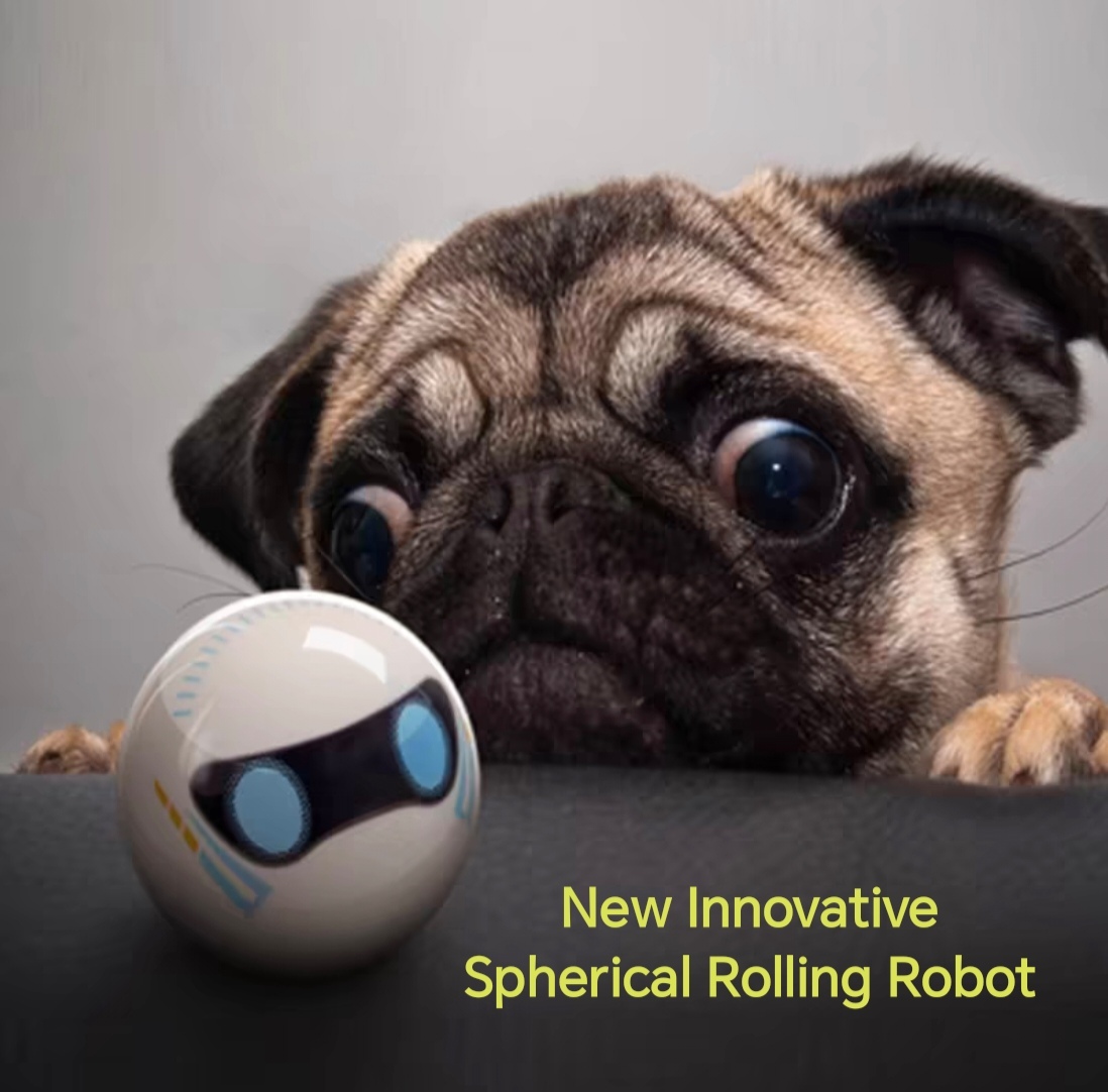 New Innovative Spherical Rolling Robot - $174.00