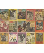 US SCHOLASTIC NEWS RANGER MAGAZINES - VOLUME 35 - 1978 – 1979 – LOT OF 15  - $6.81 CAD