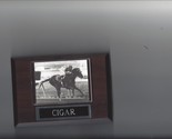CIGAR PLAQUE HORSE RACING TURF - $4.94