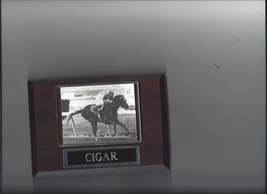 CIGAR PLAQUE HORSE RACING TURF - £3.88 GBP