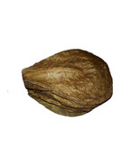 120g LARGE Indian Almond Catappa Ketapang Leaves Aquarium Betta Fish Shrimp - $12.19