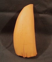 #1 Whale Tooth (Imitation Replica) for Display, Scrimshaw, Engraving - $12.82